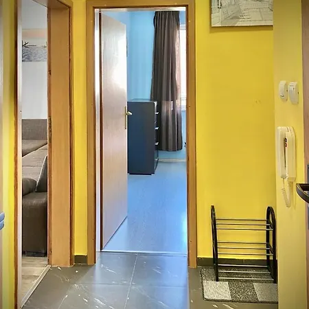 Colorful In Appartement